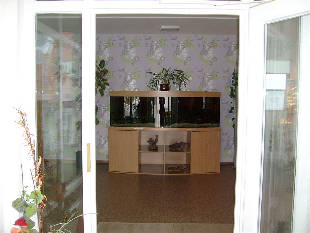 Villa Auszeit Hotel Garni Heringsdorf  Bagian luar foto